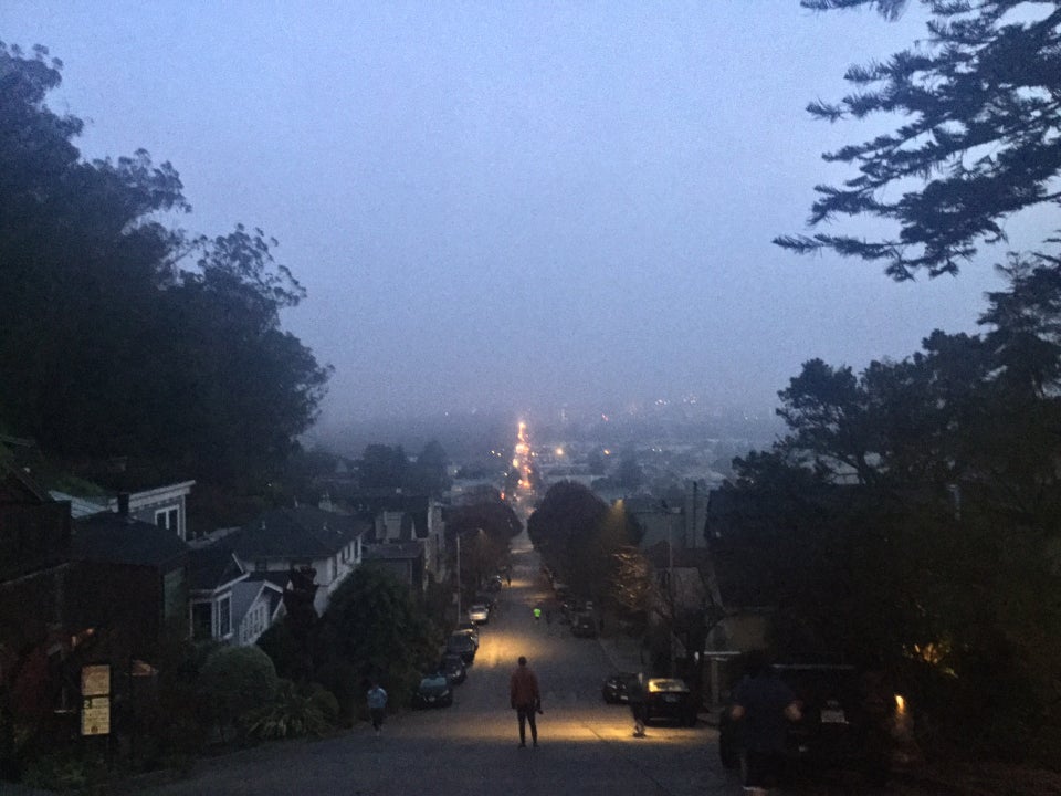 Looking north on Stanyan Street with thick fog hanging over the city, trees and houses on both sides.