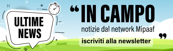 Newsletter "in Campo"